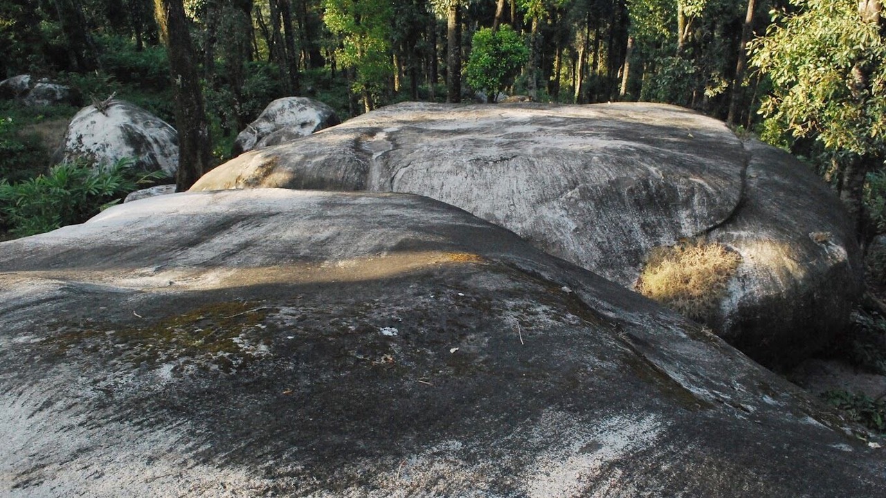 Photo of Outdoor in Kottappadi part