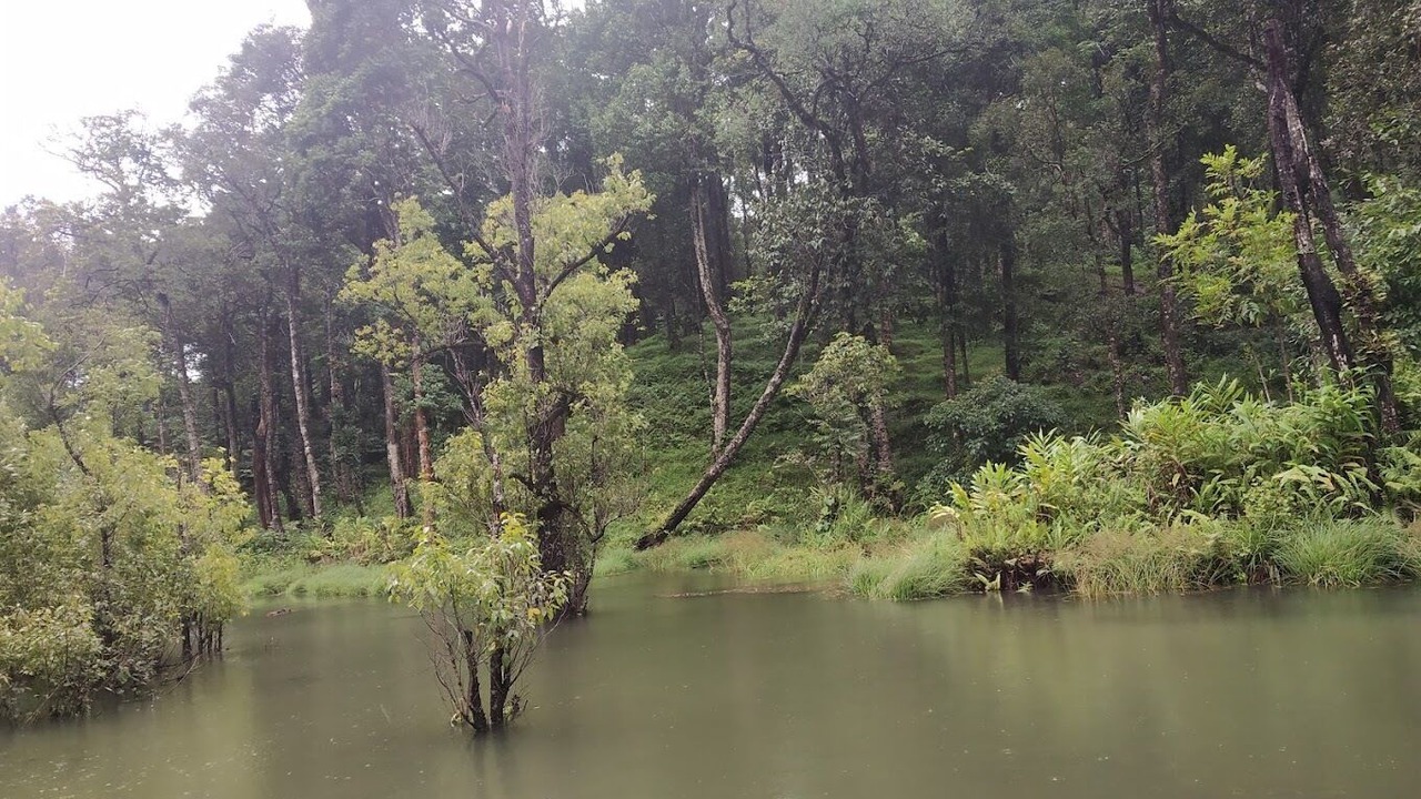 Photo of Outdoor in Kottappadi part
