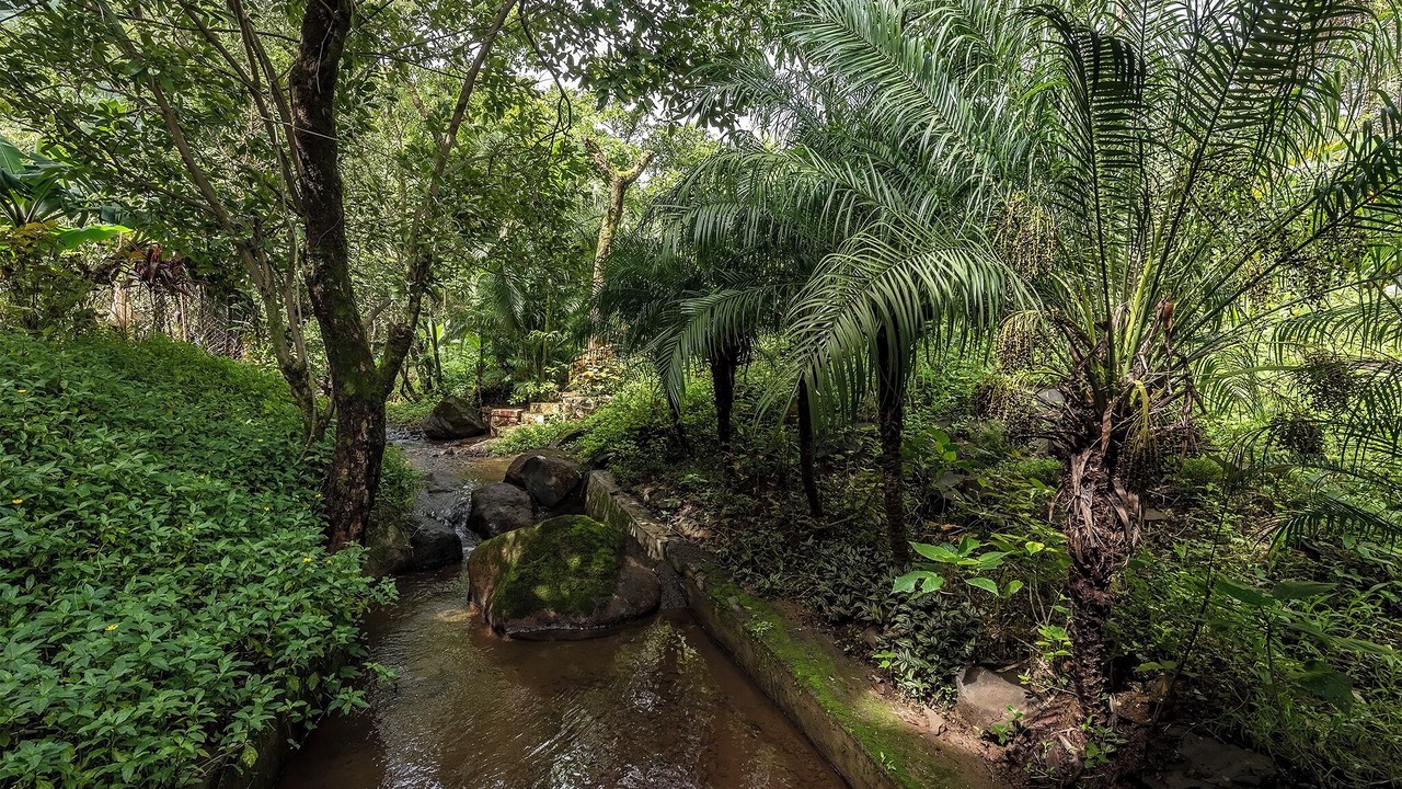 Photo of Outdoor in Paud