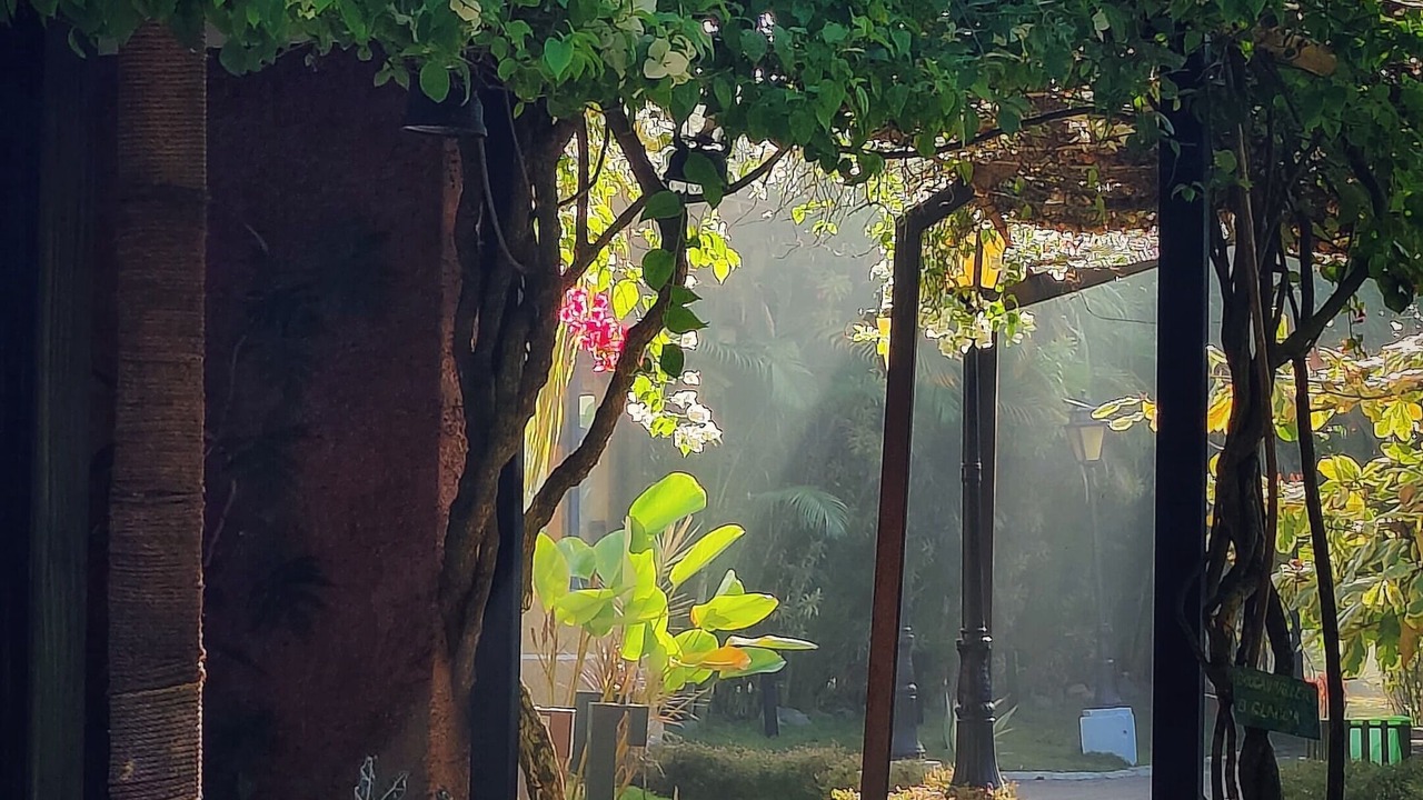 Photo of Outdoor in Virajpet