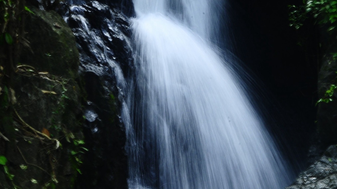 Photo of Others in Neeleshwar