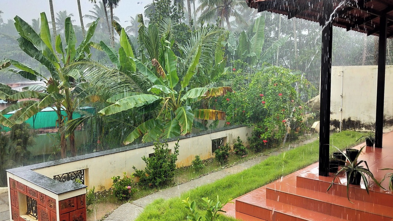 Photo of Outdoor in Varkala
