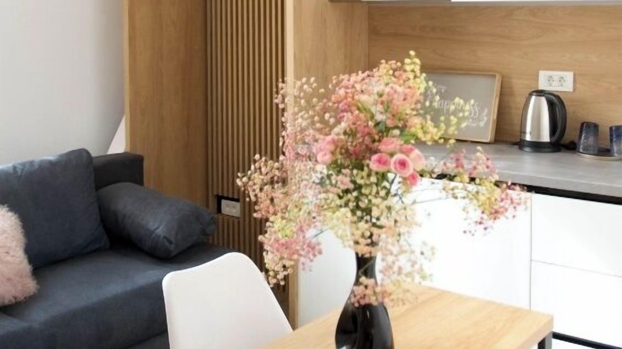 Photo of Others in Timisoara