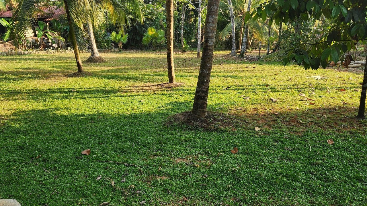 Photo of Outdoor in Kumarakom