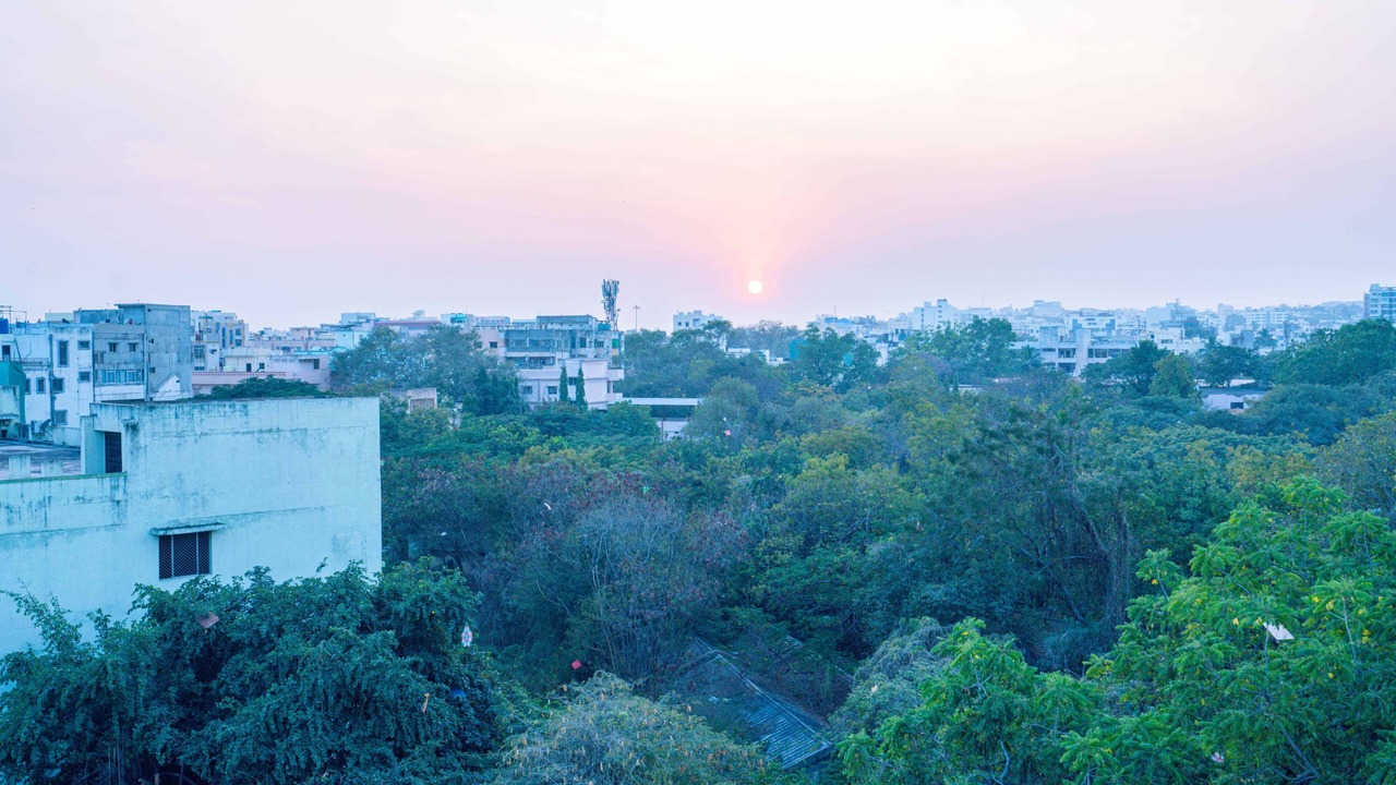 Photo of Others in Hyderabad