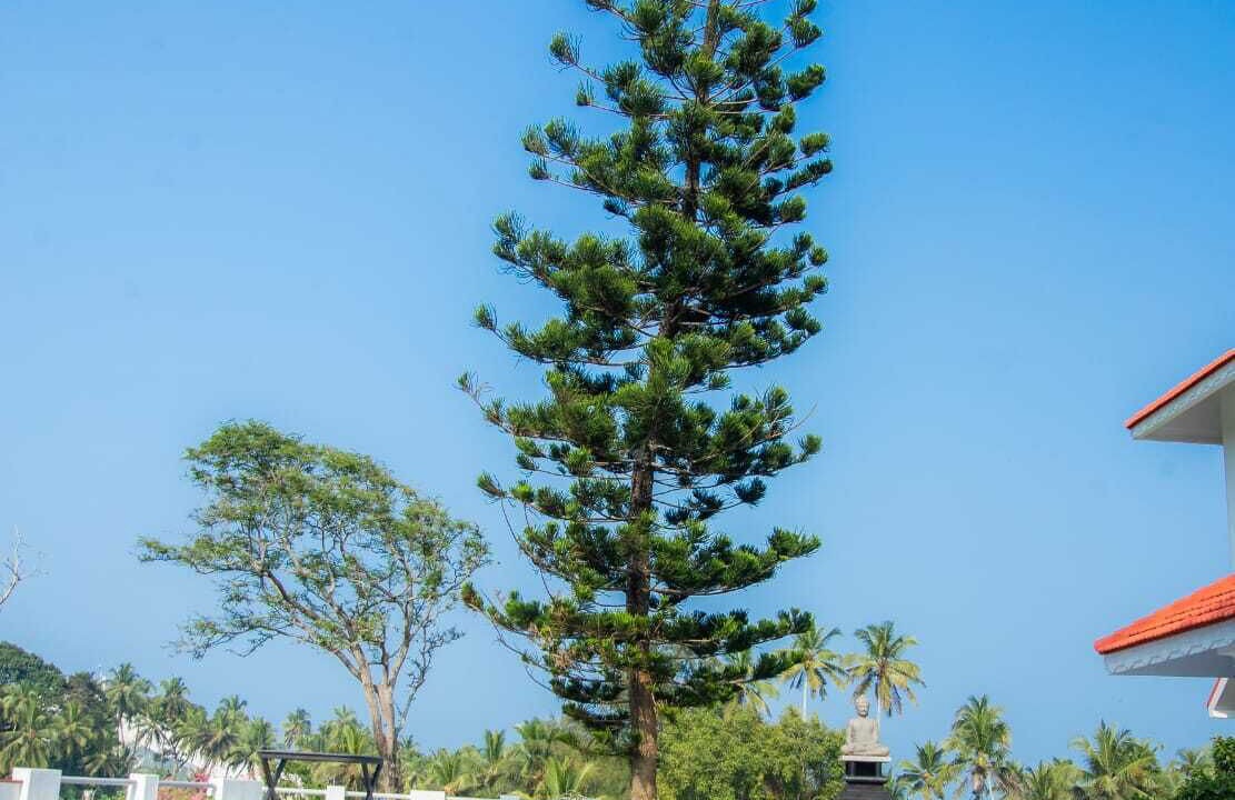 Photo of Outdoor in Kovalam