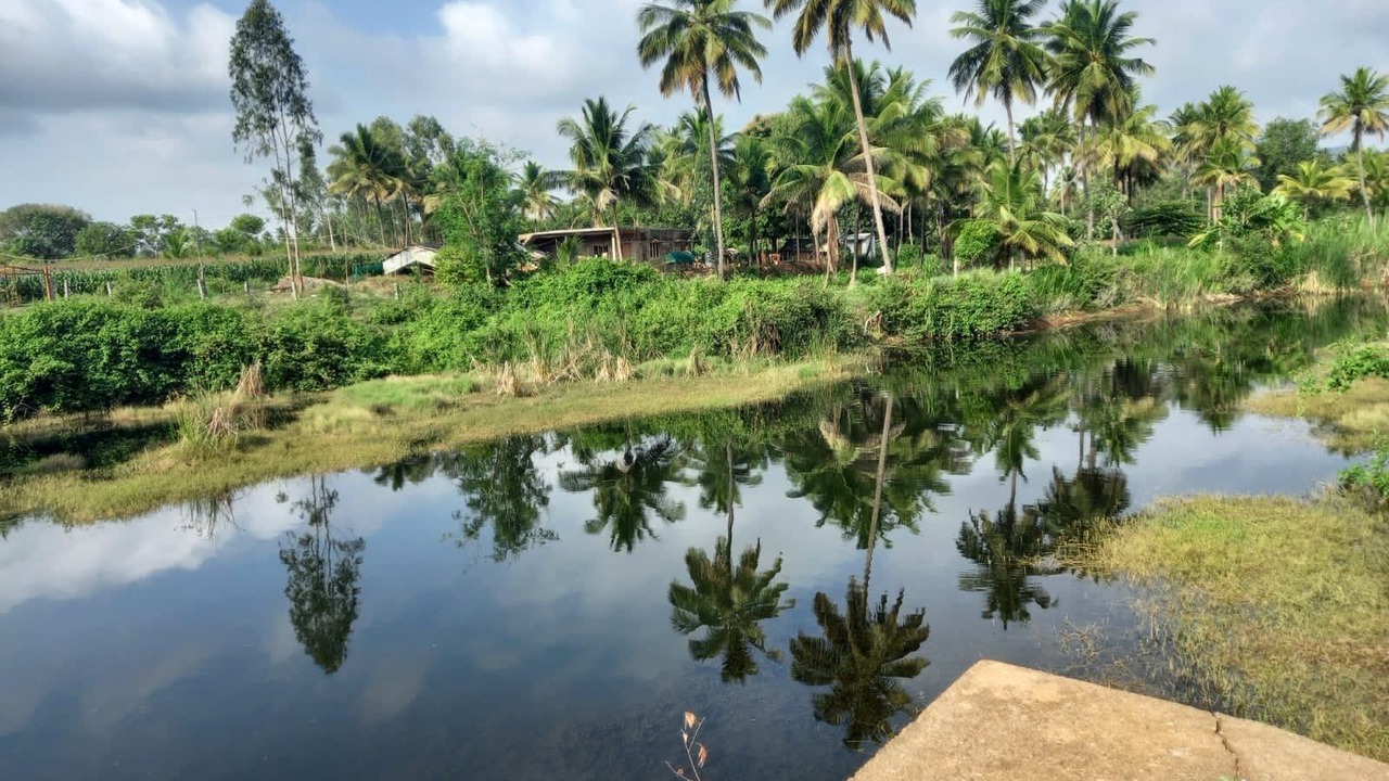 Photo of Others in Malavalli