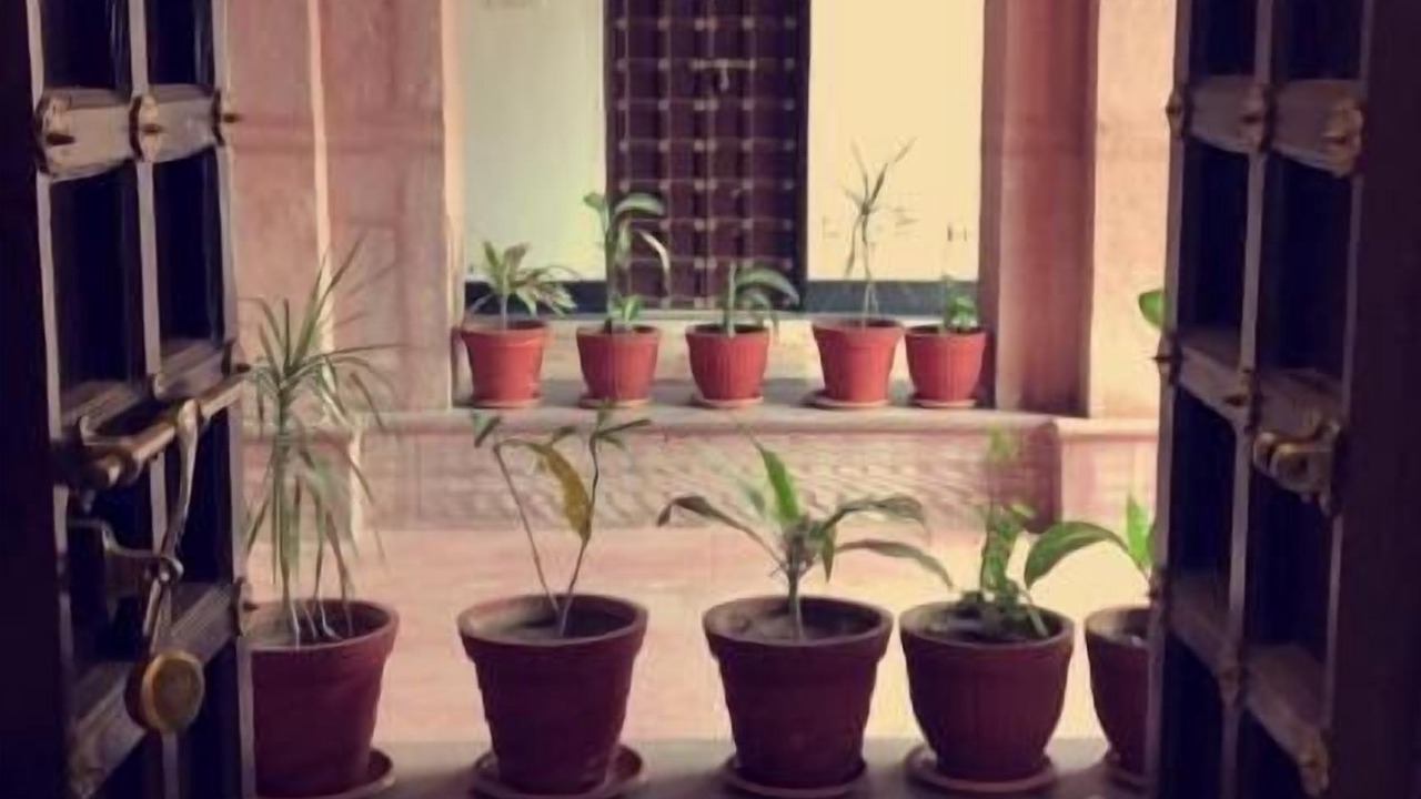 Photo of Others in Jodhpur