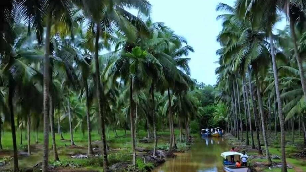 Photo of Others in Honavar
