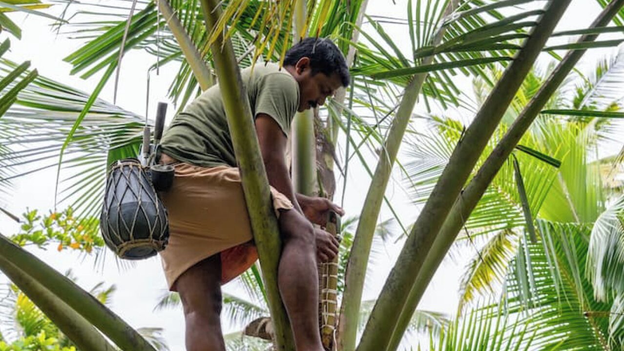 Photo of Outdoor in Andhakaranazhy