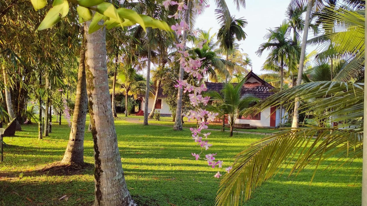 Photo of Outdoor in Alappuzha