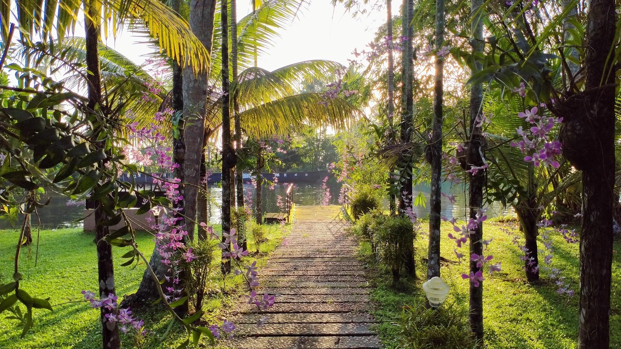 Photo of Outdoor in Alappuzha