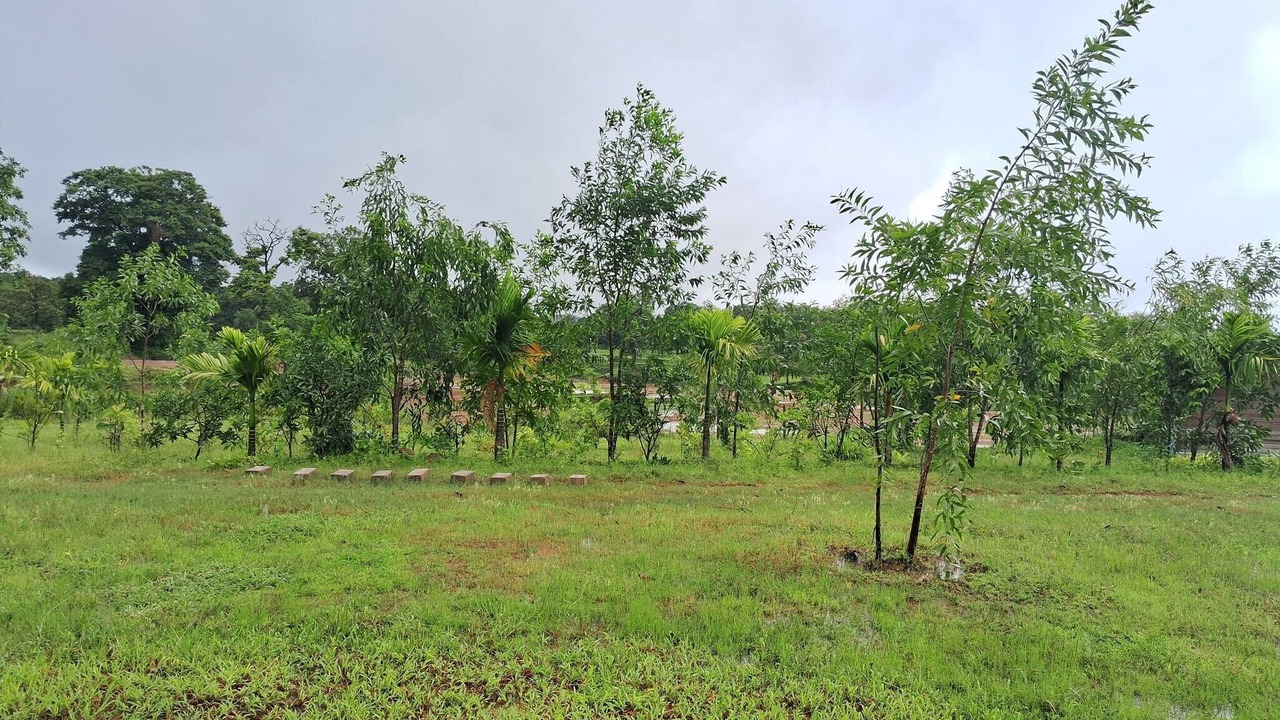 Photo of Others in Timbholi