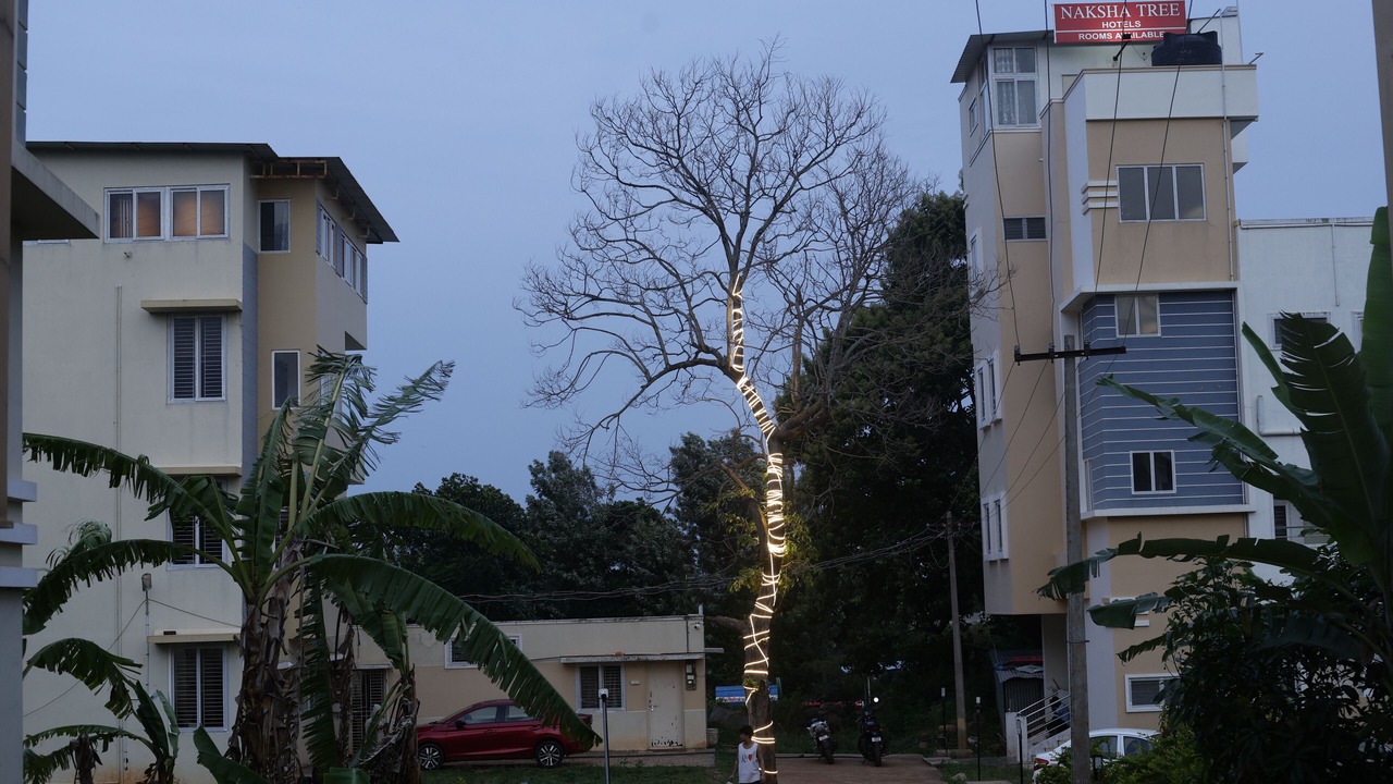 Photo of Outdoor in Yelagiri