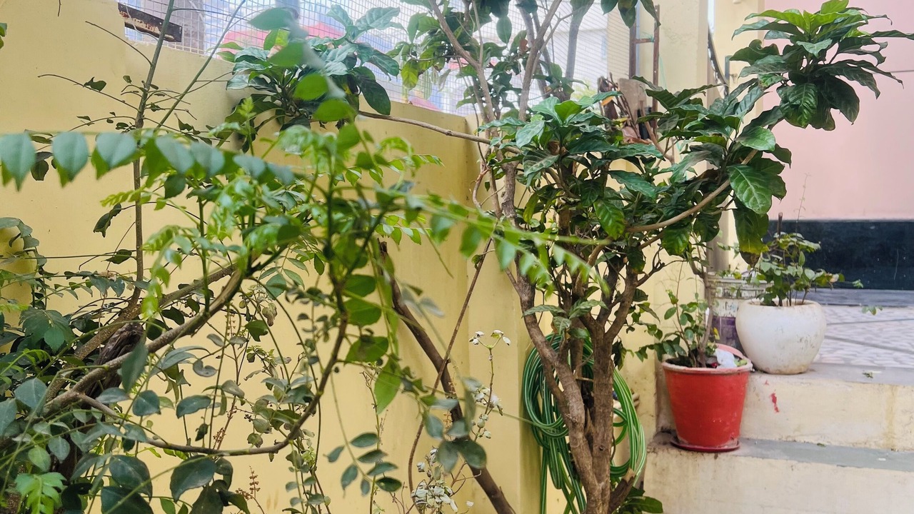 Photo of Outdoor in Udaipur