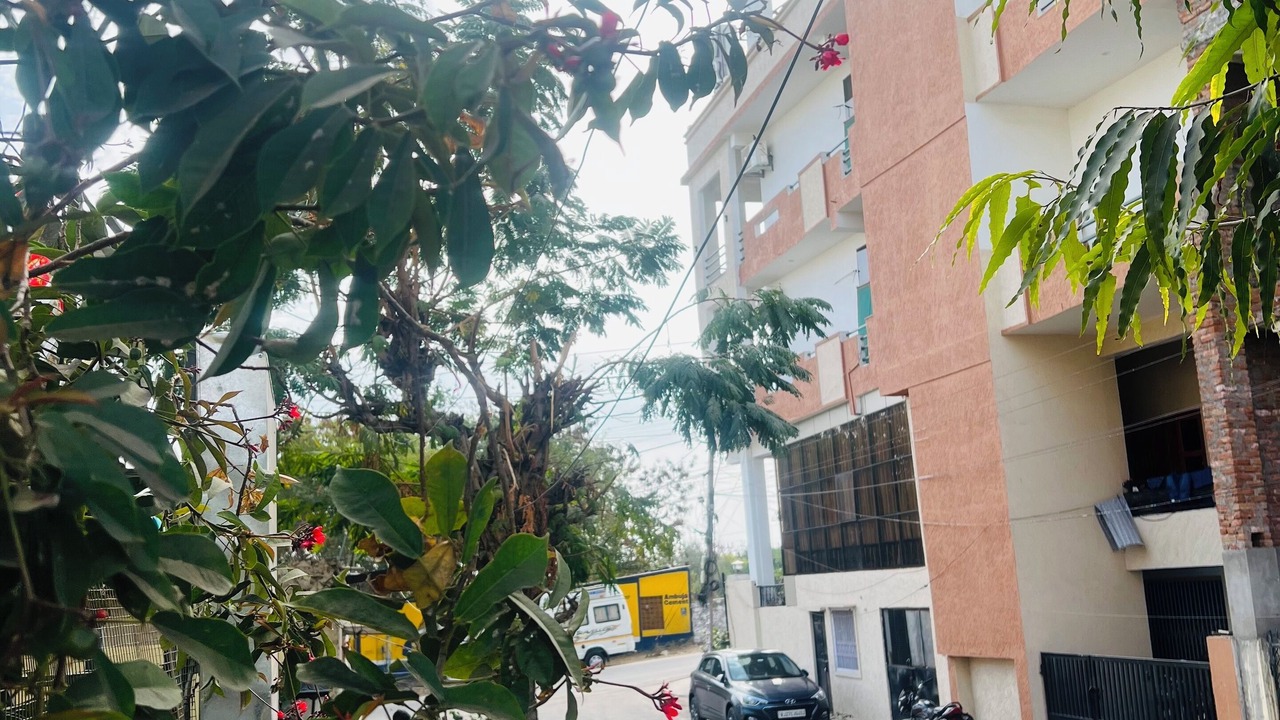 Photo of Outdoor in Udaipur