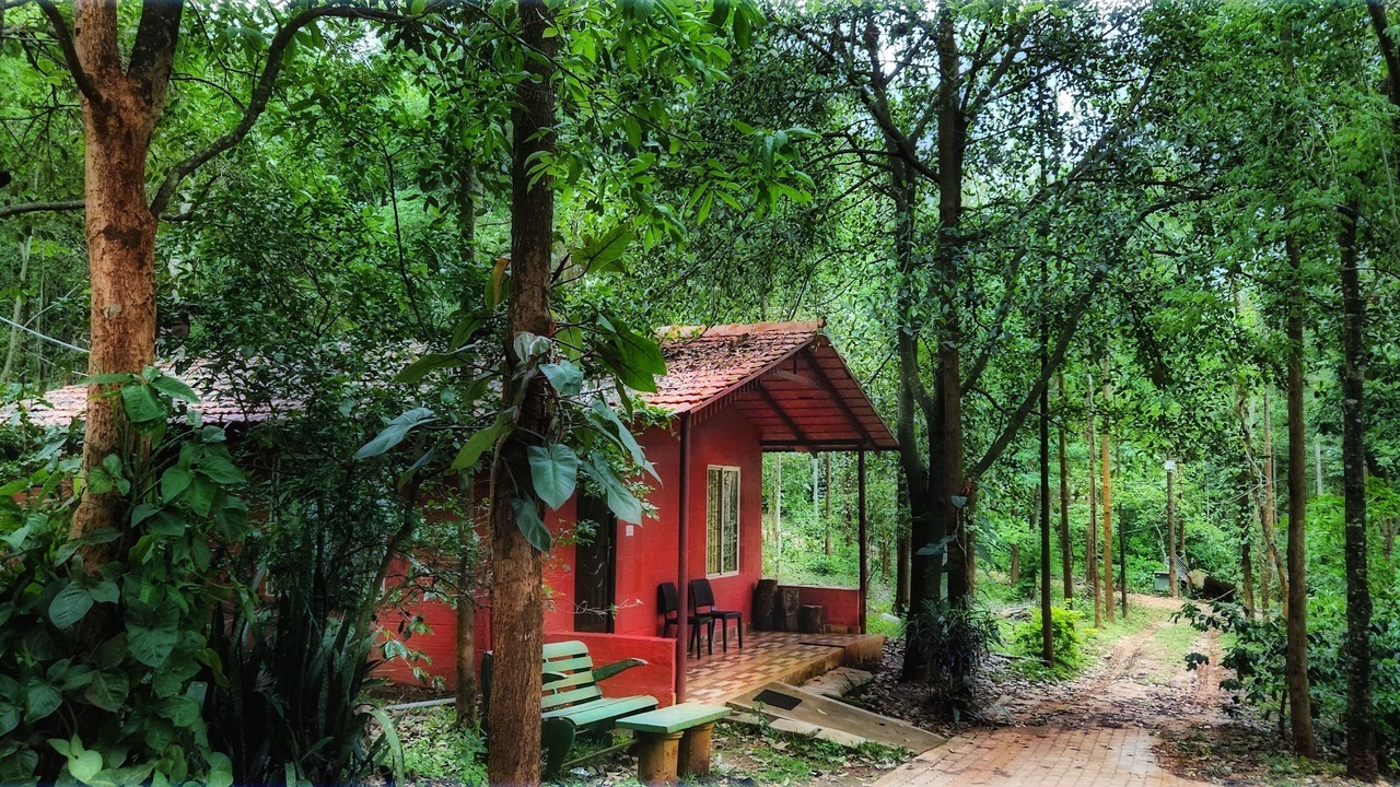 Photo of Outdoor in Chikkamagaluru