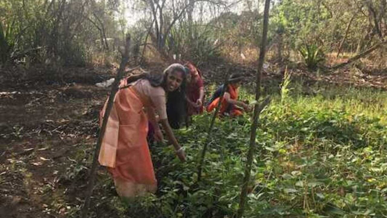 Photo of Outdoor in Wadgaon