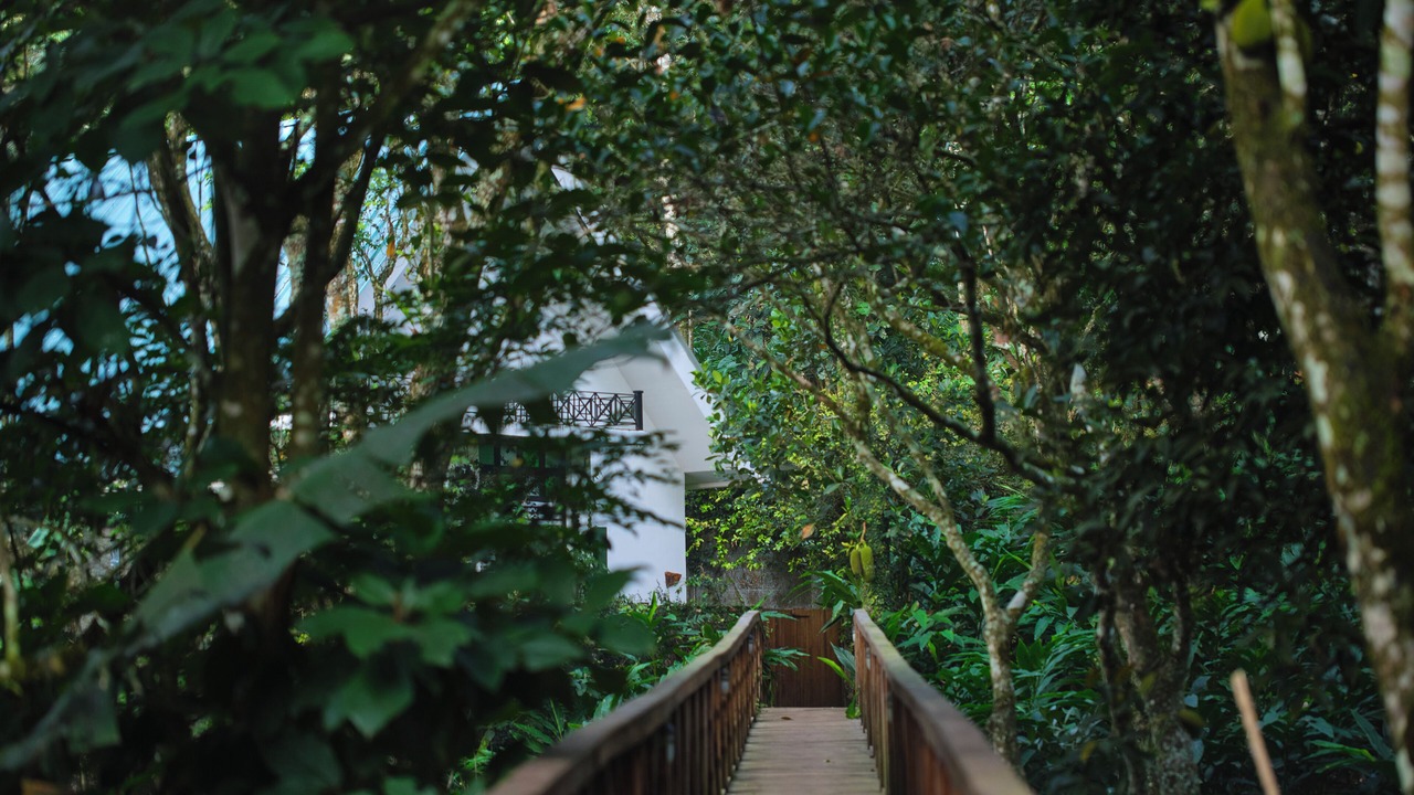 Photo of Outdoor in Elappara