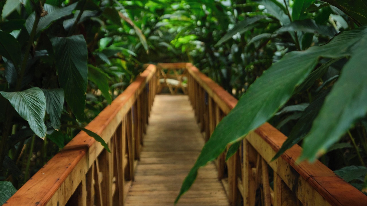 Photo of Outdoor in Elappara