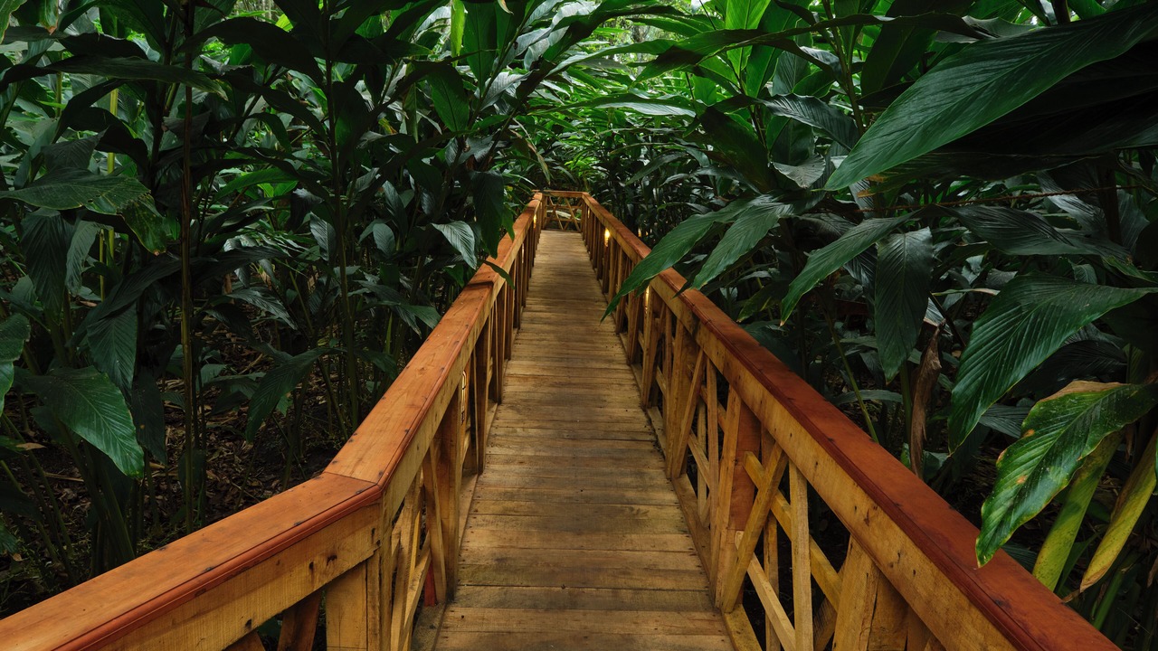 Photo of Outdoor in Elappara