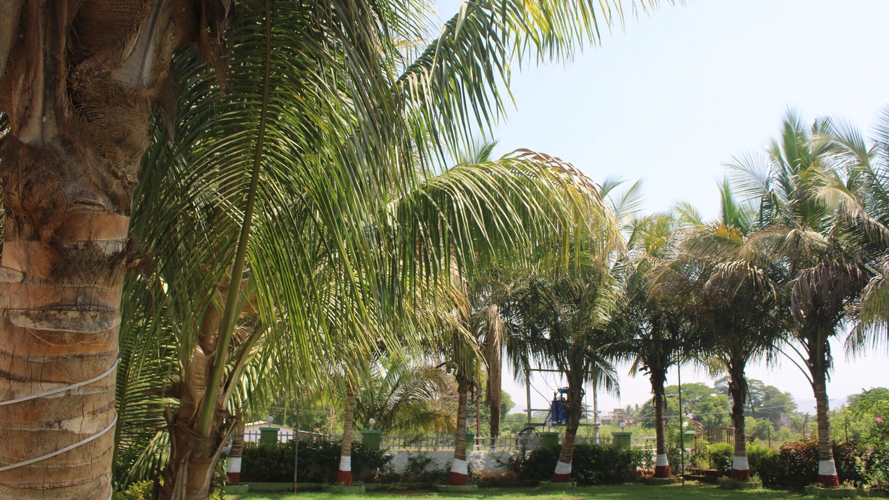 Photo of Outdoor in Vaijanath