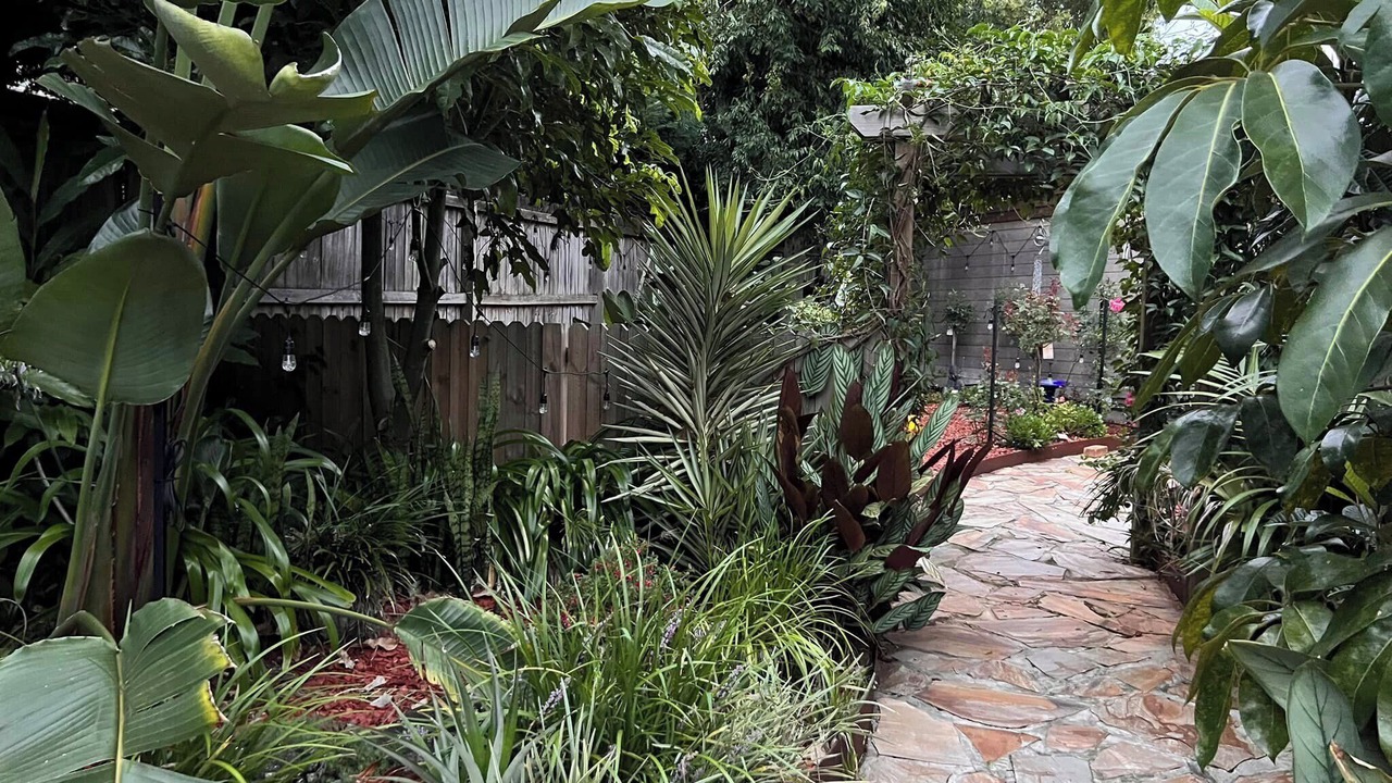 Photo of Outdoor in Hornsby