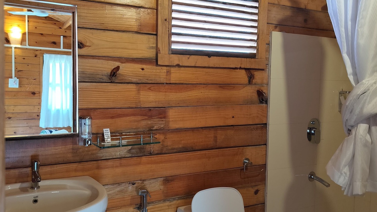 Photo of Bathroom in Palolem