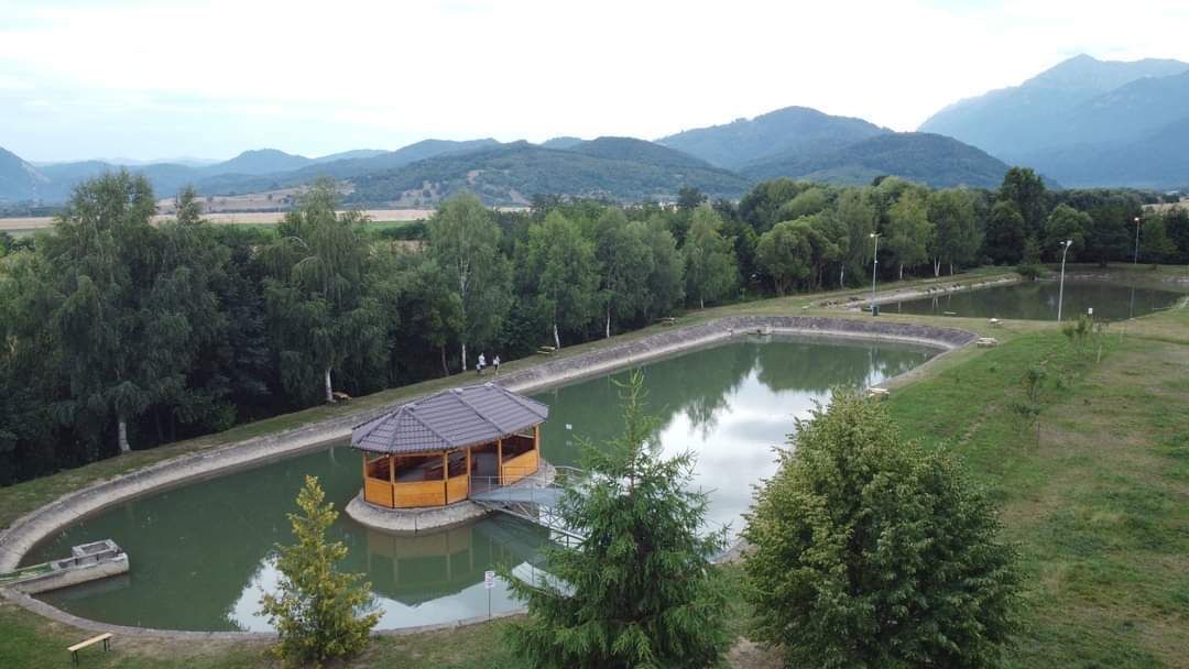 Photo of Outdoor in Zarnesti