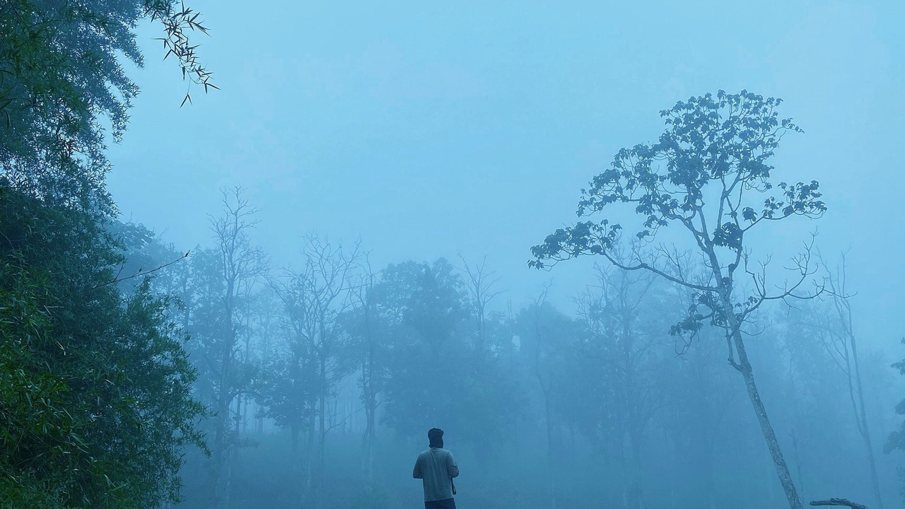 Photo of Outdoor in Kattikkulam