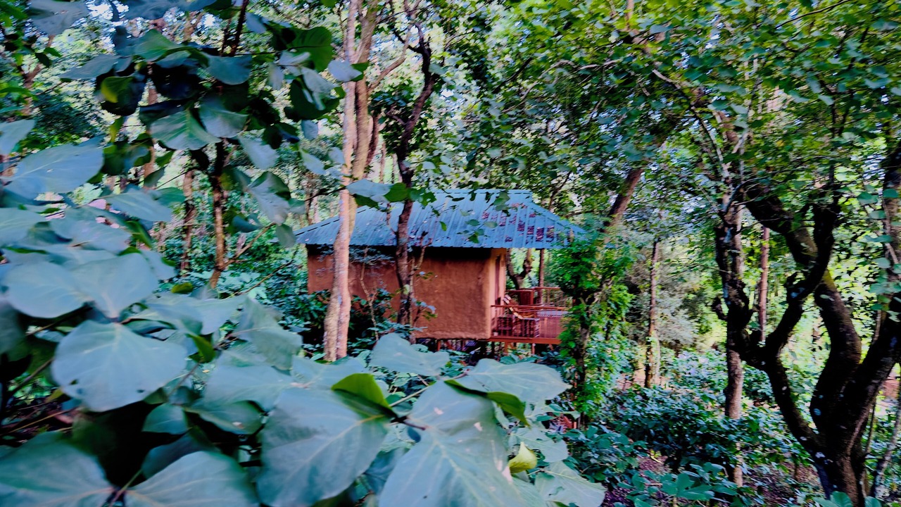 Photo of Outdoor in Kattikkulam