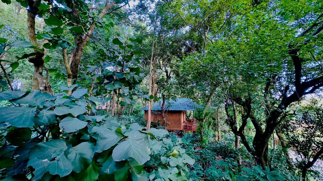 Photo of Others in Kattikkulam