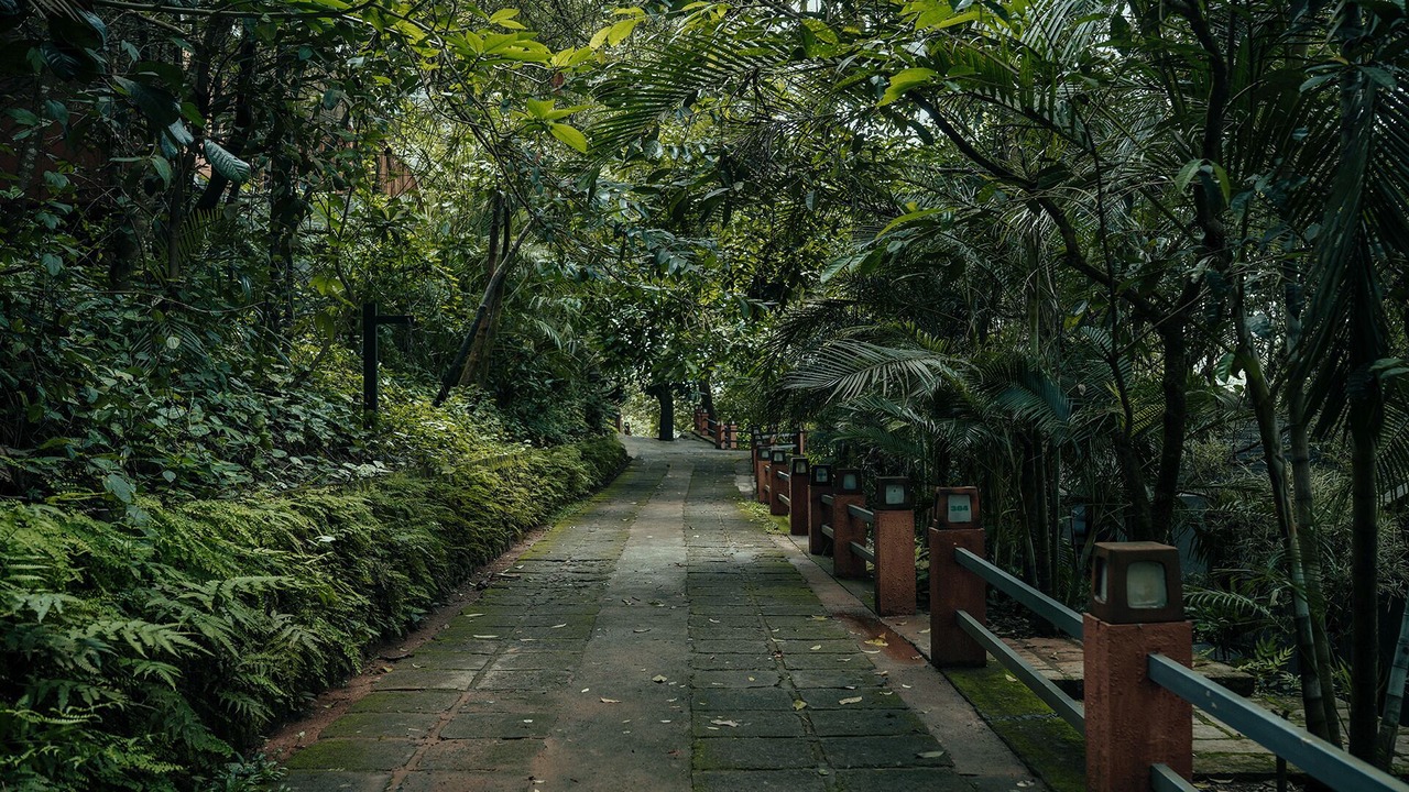 Photo of Outdoor in Manjoora