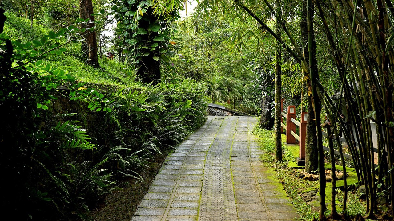 Photo of Outdoor in Manjoora