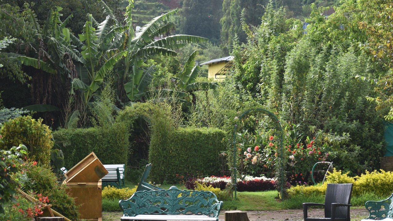 Photo of Outdoor in Stone House Area