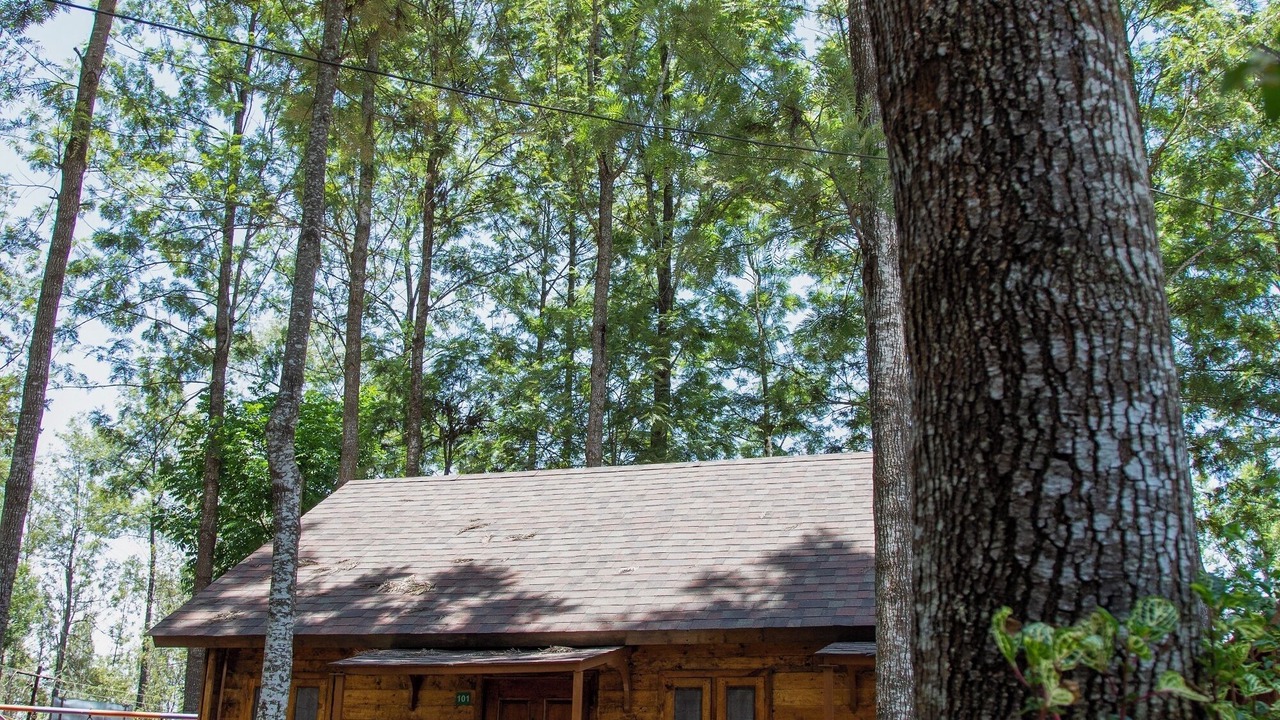 Photo of Bedroom in Yercaud