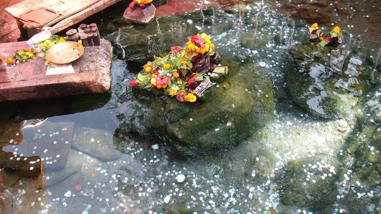 Photo of Others in Paralakhemundi