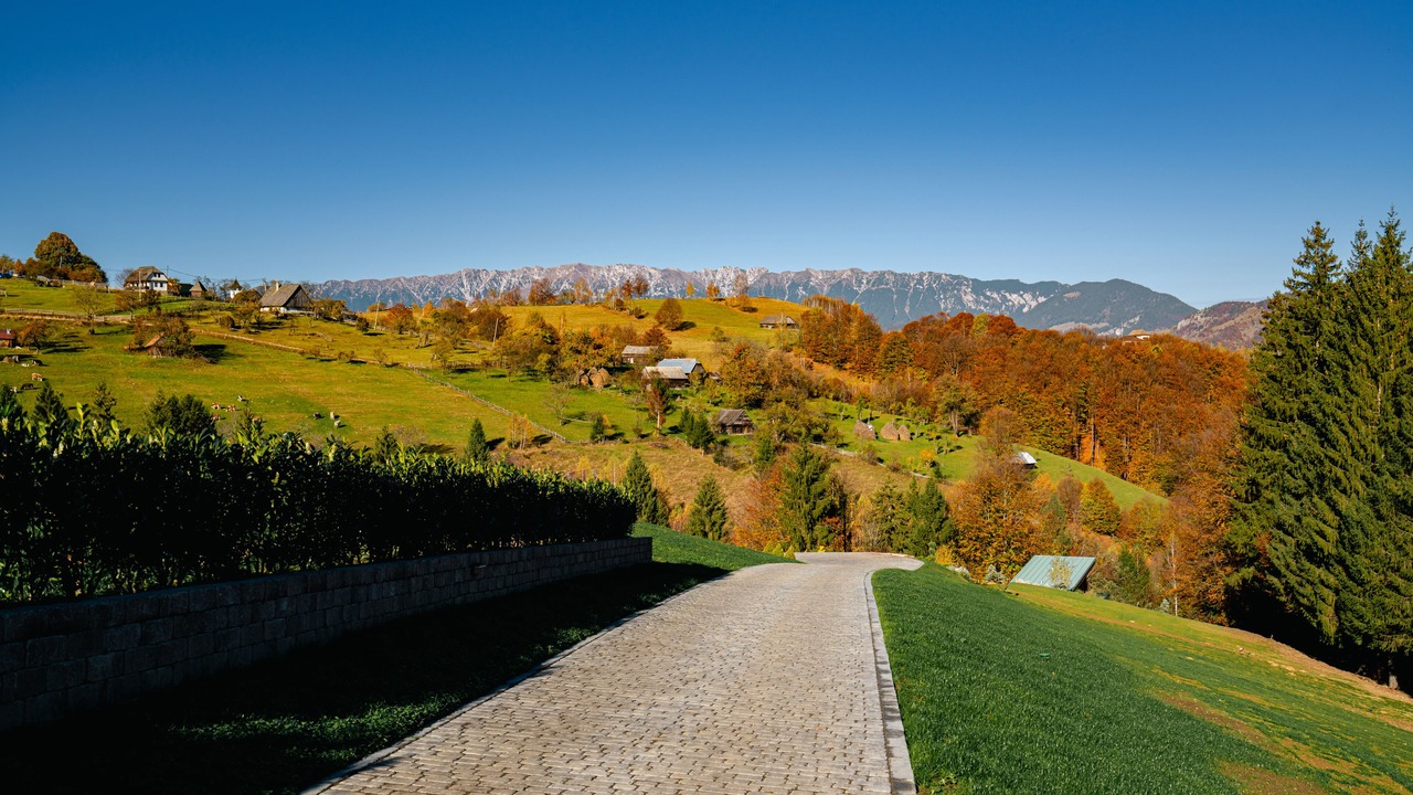 Photo of Outdoor in Bran