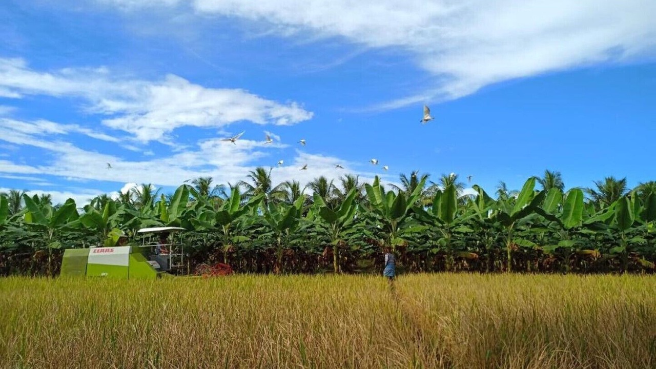 Photo of Outdoor in Rajahmundry