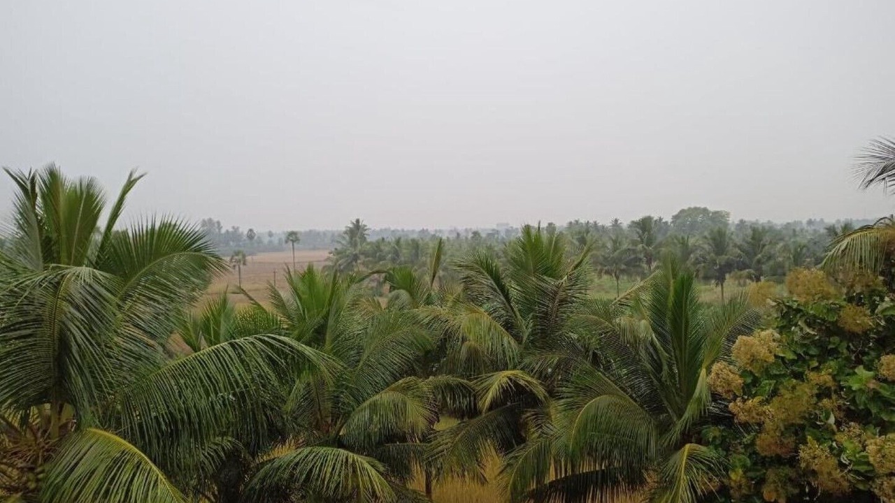 Photo of Others in Rajahmundry