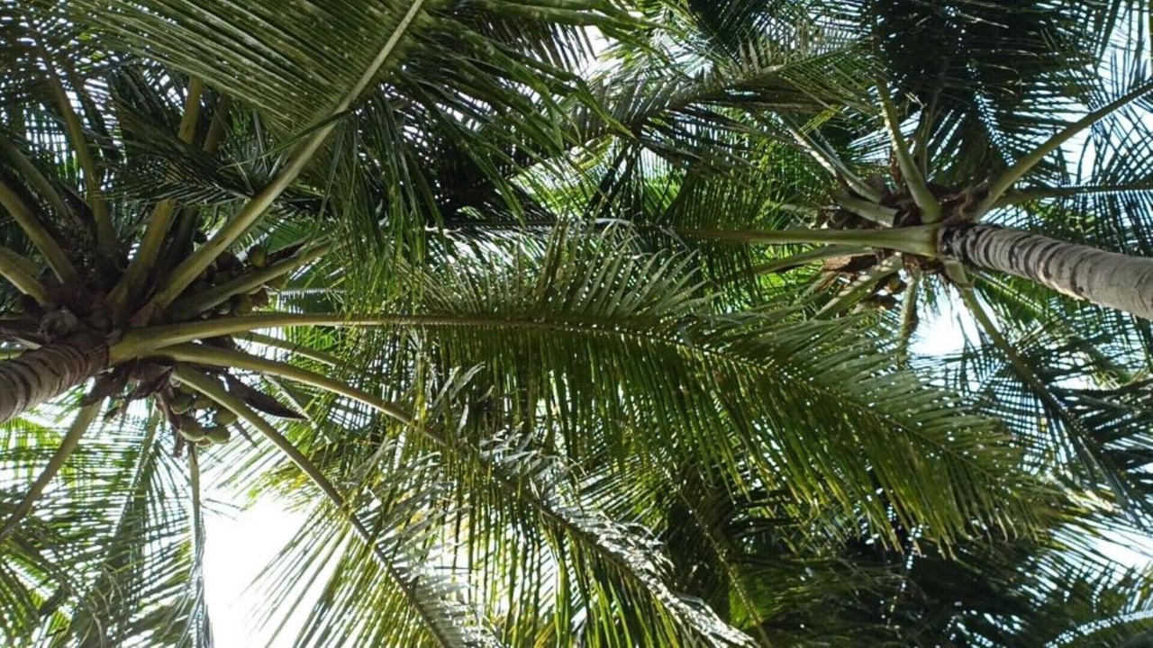 Photo of Outdoor in Rajahmundry