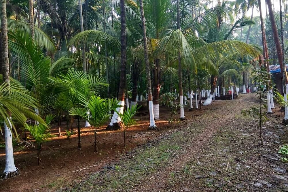 Photo of Outdoor in Alibaug