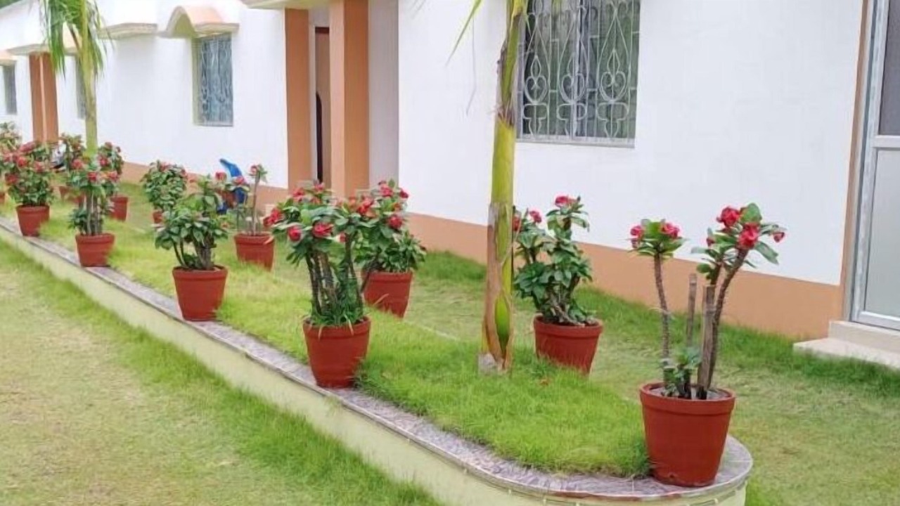 Photo of Outdoor in Tajpur