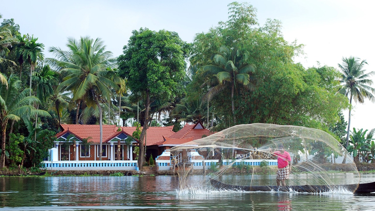Photo of Outdoor in Nedumudy