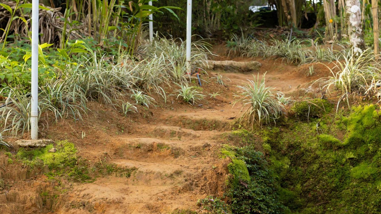 Photo of Outdoor in Devikolam