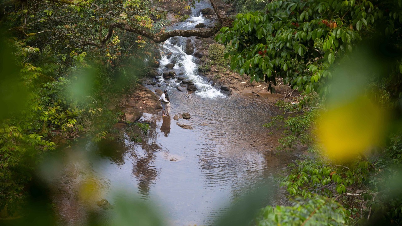 Photo of Outdoor in Devikolam