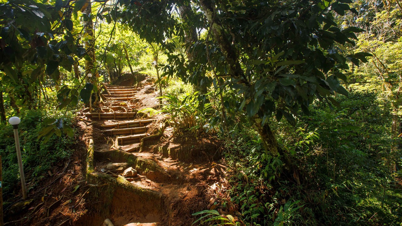 Photo of Outdoor in Devikolam