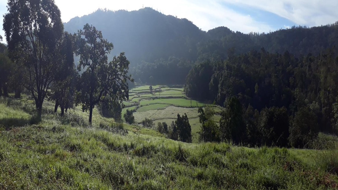 Photo of Outdoor in Sakleshpur