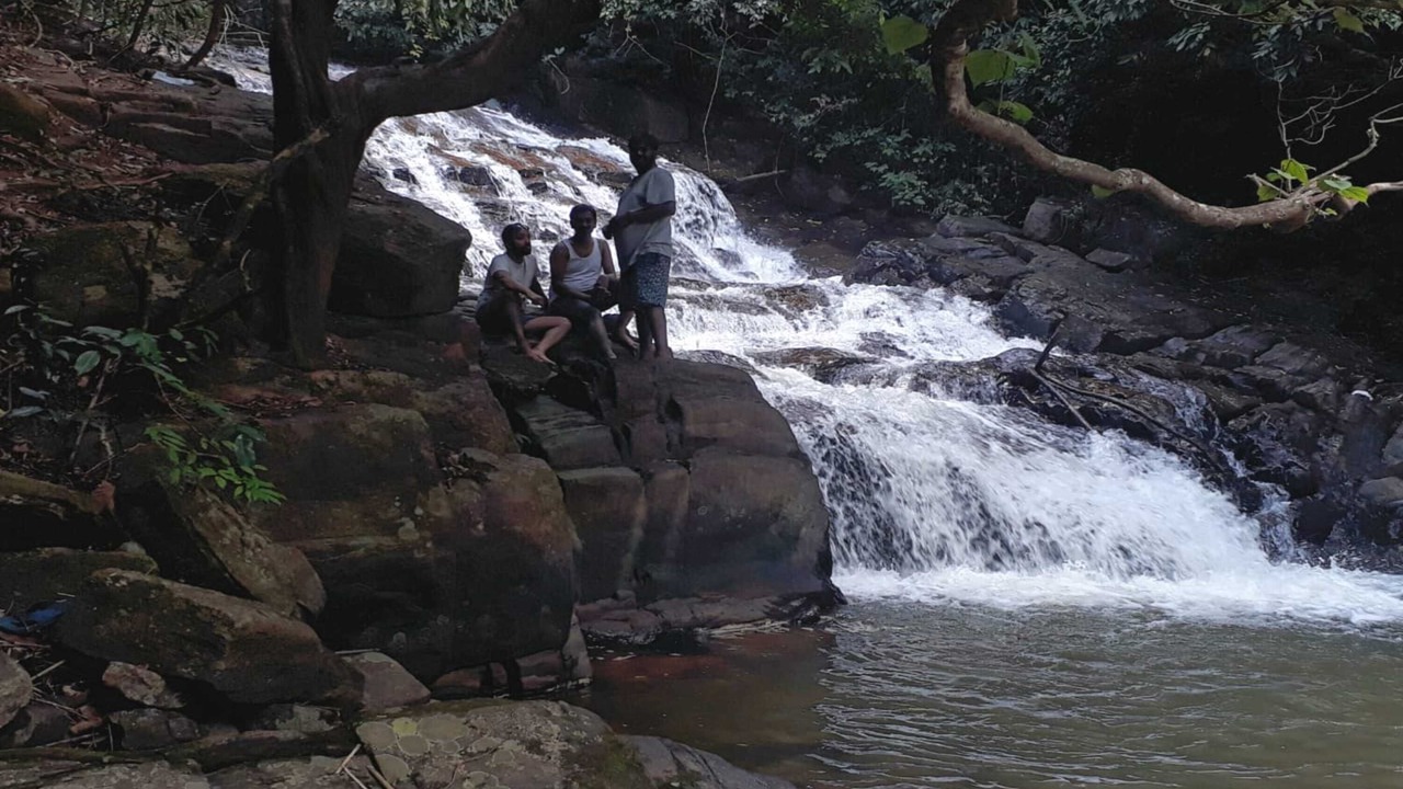 Photo of Outdoor in Sakleshpur