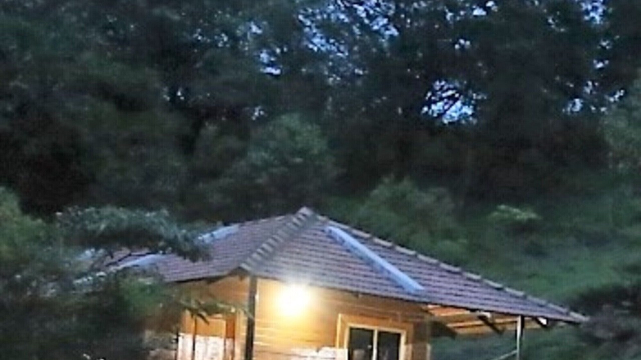 Photo of Others in Sakleshpur